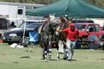 061707-Hoyman-Cup-0508