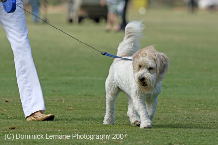 062407-Hoyman-Finals-0396