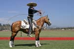 062407-Hoyman-Finals-5105