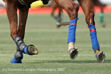 062407-Hoyman-Finals-0345-crop