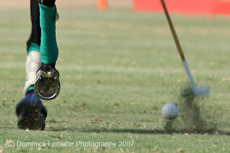 062407-Hoyman-Finals-0461-crop2