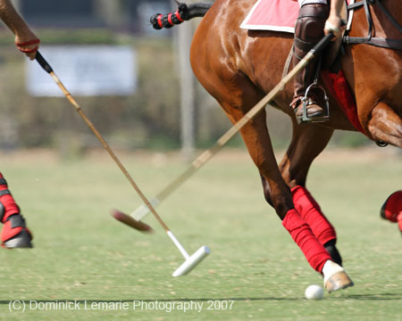 062407-Hoyman-Finals-0479-crop
