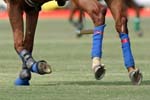 062407-Hoyman-Finals-0345-crop