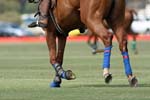062407-Hoyman-Finals-0345