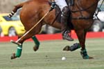 062407-Hoyman-Finals-0346