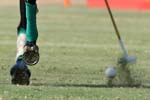 062407-Hoyman-Finals-0461-crop2