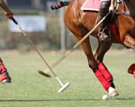 062407-Hoyman-Finals-0479-crop