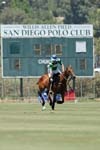 070107-America-Cup_0011