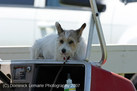 070107-America-Cup_0198