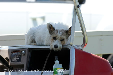 070107-America-Cup_0202