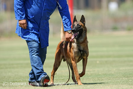 070107-America-Cup_0570