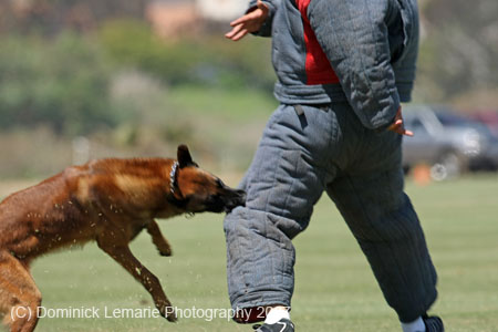 070107-America-Cup_0589