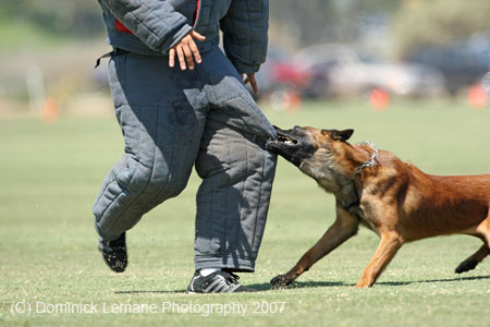 070107-America-Cup_0591