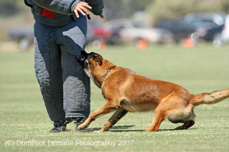 070107-America-Cup_0593