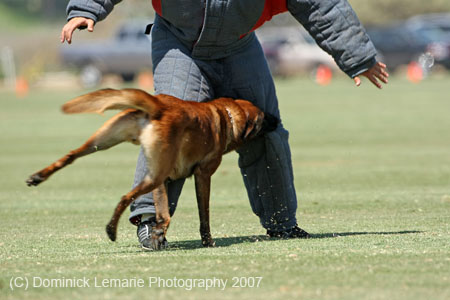 070107-America-Cup_0596
