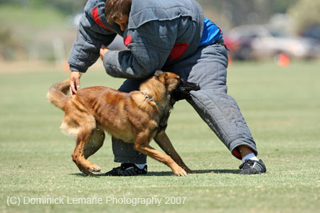 070107-America-Cup_0597