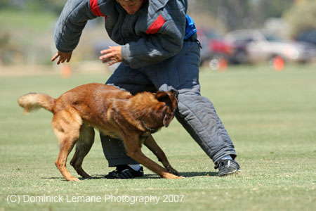070107-America-Cup_0598