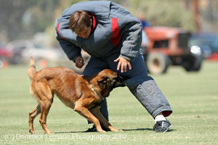 070107-America-Cup_0603
