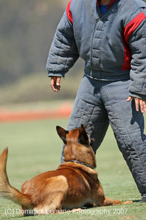 070107-America-Cup_0622R