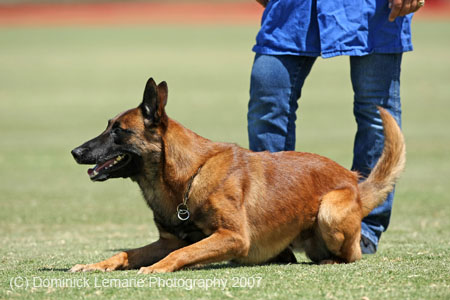 070107-America-Cup_0636