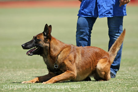 070107-America-Cup_0637