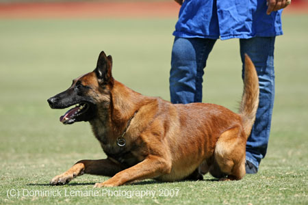070107-America-Cup_0638