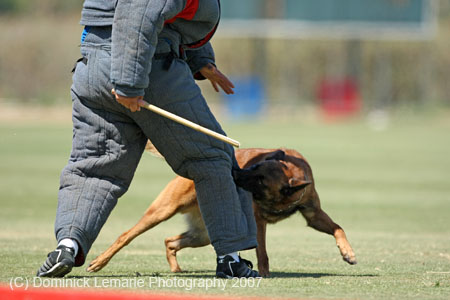 070107-America-Cup_0657