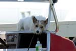 070107-America-Cup_0202