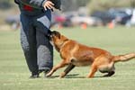 070107-America-Cup_0593
