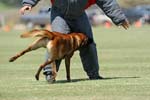 070107-America-Cup_0596