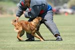 070107-America-Cup_0597