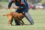 070107-America-Cup_0598