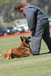 070107-America-Cup_0604R