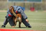 070107-America-Cup_0652