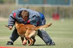 070107-America-Cup_0654