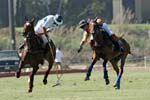 070107-America-Cup_0514