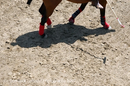 070407-Arena_0108