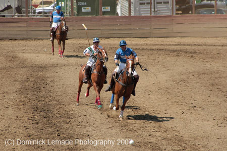 070407-Arena_0555