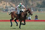 071507_USPA_Cup_0127