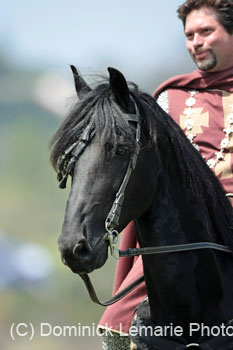 071507_USPA_Cup_0479