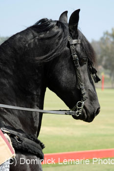 071507_USPA_Cup_0553