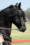 071507_USPA_Cup_0553