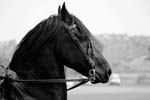 071507_USPA_Cup_0558