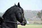 071507_USPA_Cup_0559