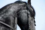 071507_USPA_Cup_0583