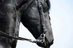 071507_USPA_Cup_0586