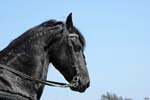 071507_USPA_Cup_0587