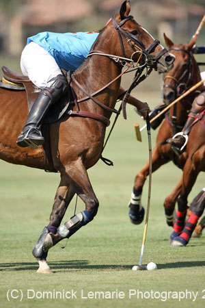 081907_Guttierez_Cup_415