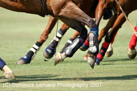 081907_Guttierez_Cup_416