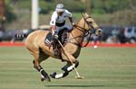 081907_Guttierez_Cup_360